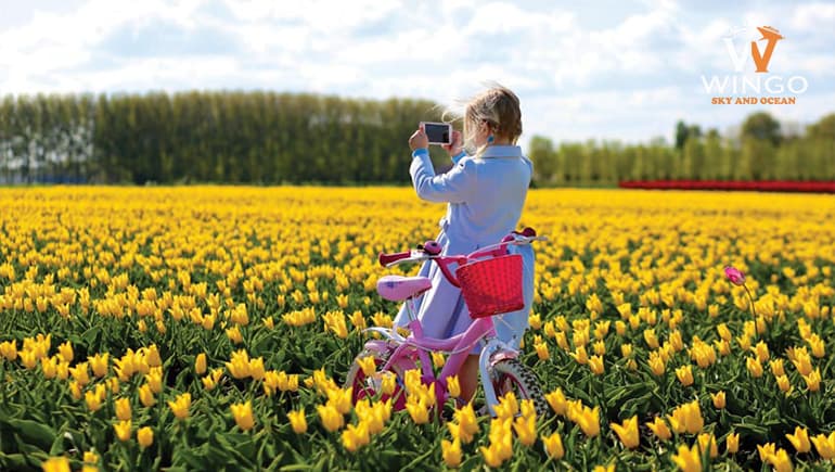 hoà mình vào lễ hội Floriade vào mùa xuân tại Úc