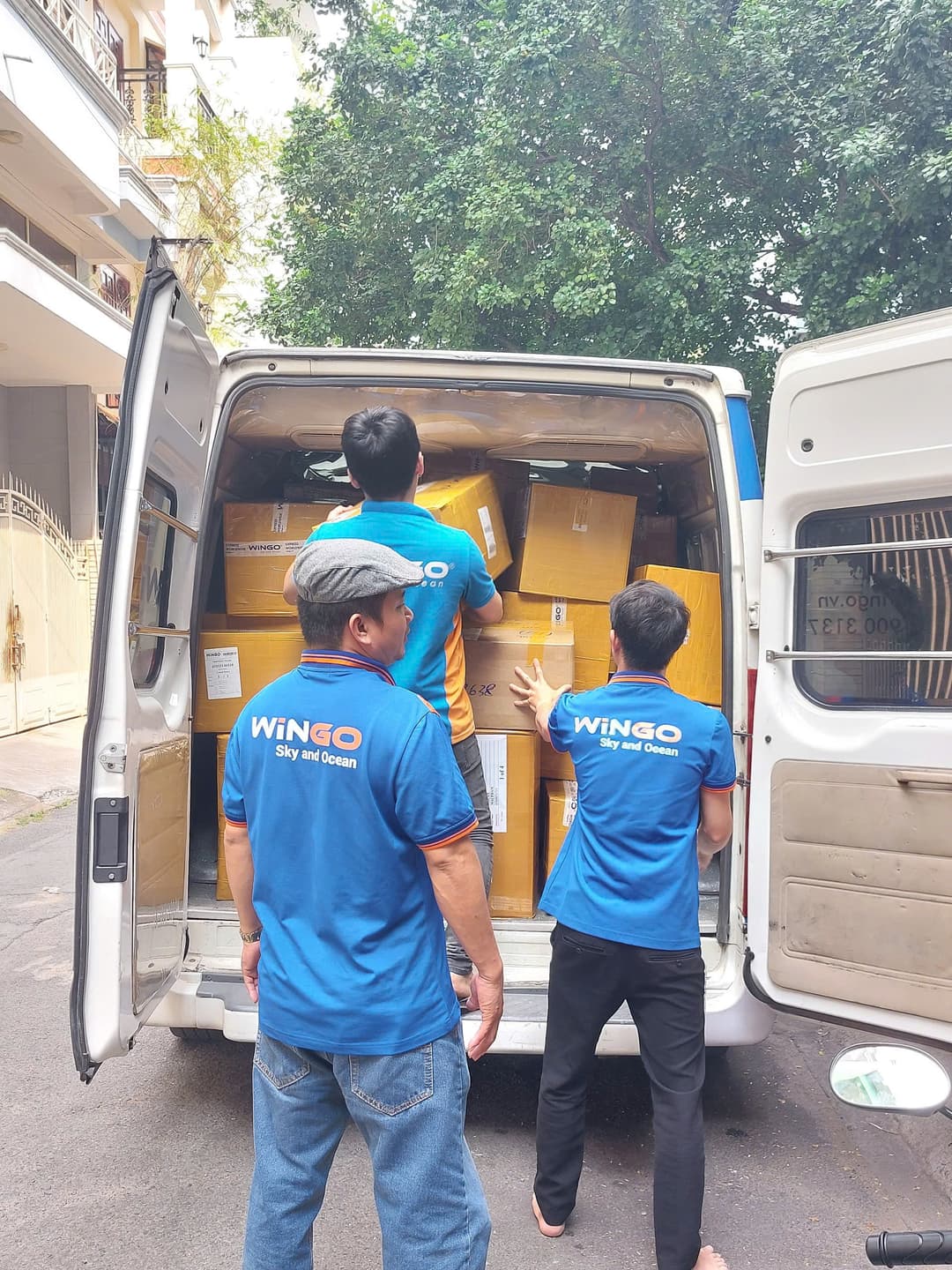 Wingo Logistics