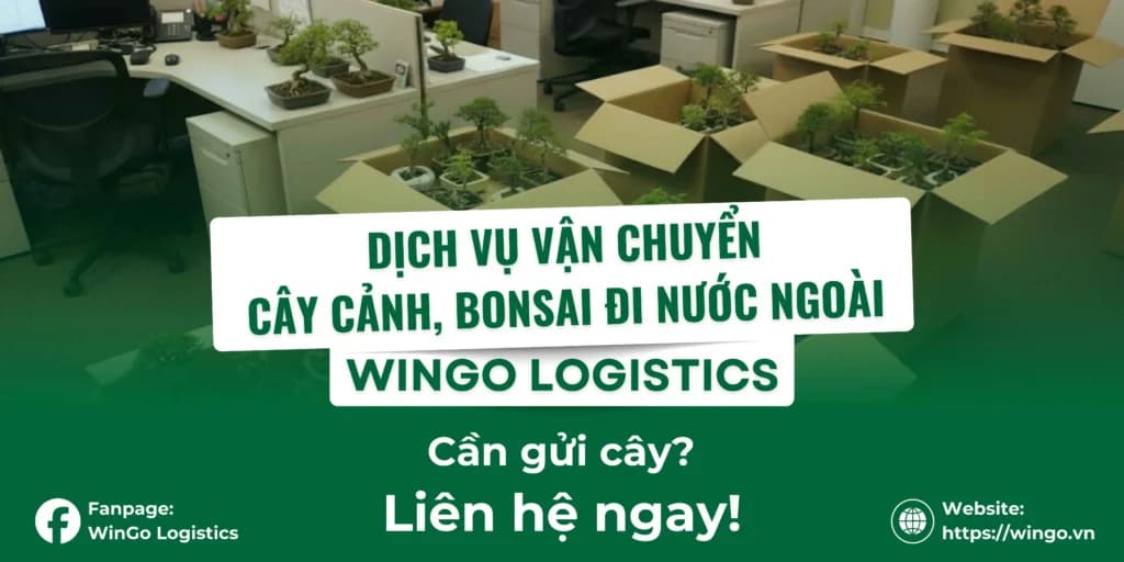 Gửi Cây Cảnh Đi Nước Ngoài