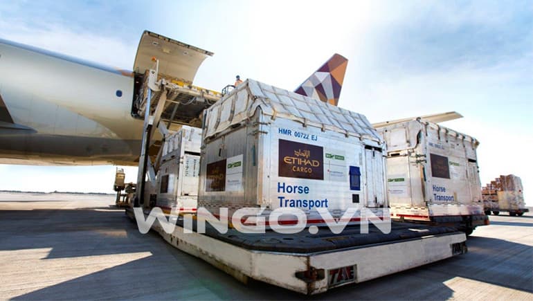 Chuyển phát nhanh đi Nga giá rẻ tại WinGo Logistics