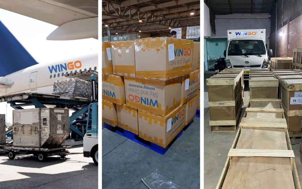 Dịch vụ vận chuyển tượng đi Mỹ Wingo Logistics