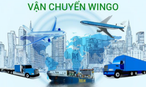 vận chuyển hàng trung quốc về việt nam