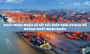 xuất nhập khẩu là gì