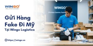 Gửi hàng Fake đi Mỹ