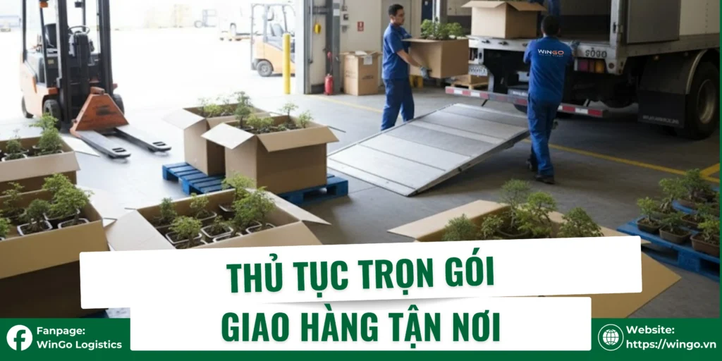 Thủ tục trọn gói, giao hàng tận nơi