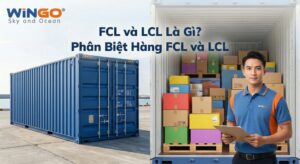 fcl và lcl là gì